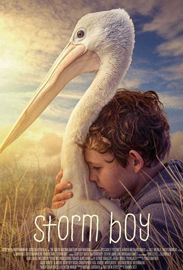 Фильм Штормовой мальчик (2019) смотреть онлайн